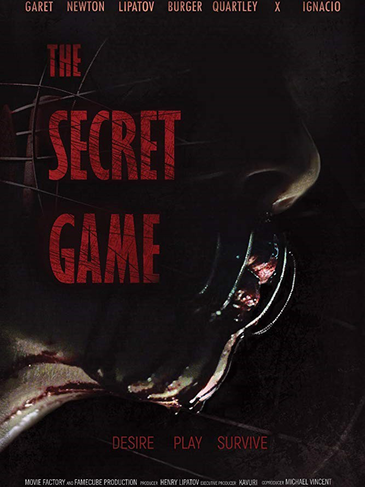 THE SECRET GAME poster